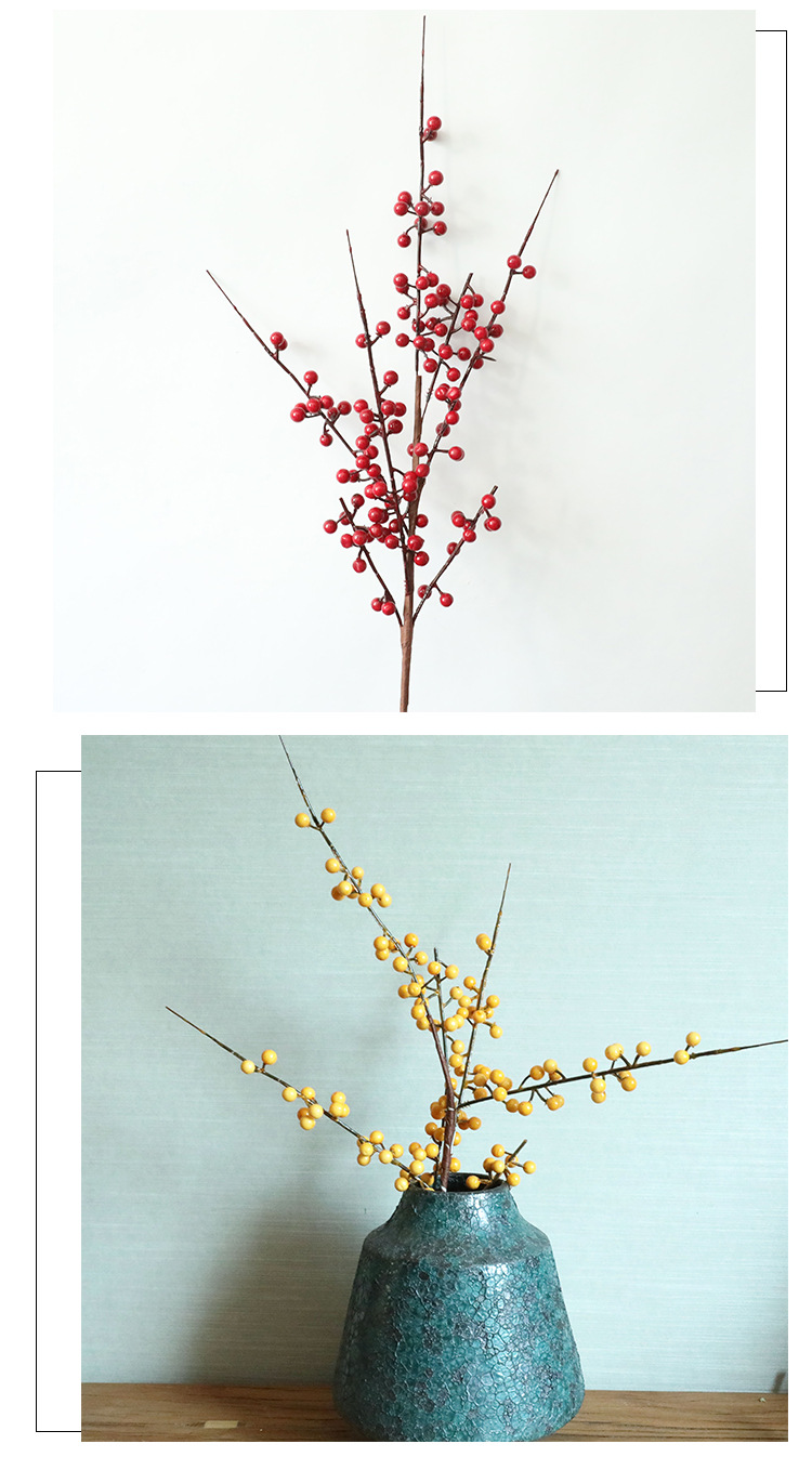 Decorazione floreale di simulazione di frutti rossi ricchi di frutti rossi, fagioli rossi di acacia_voghion.com