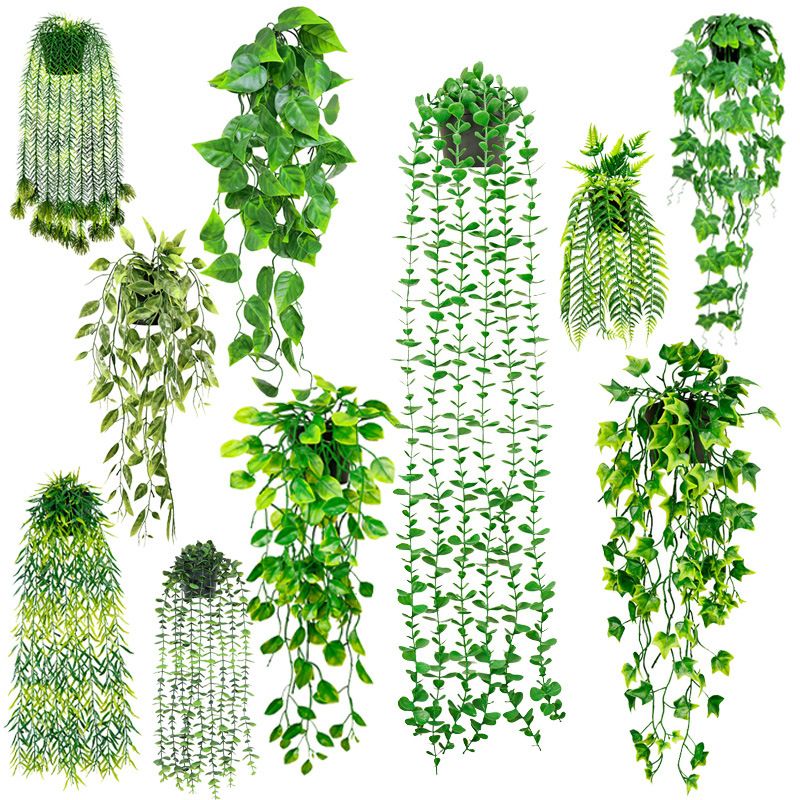 Home Mobili rampicanti appesi piante verdi rampicanti appesi piante in vaso Home decorazione balcone piante di plastica_voghion.com