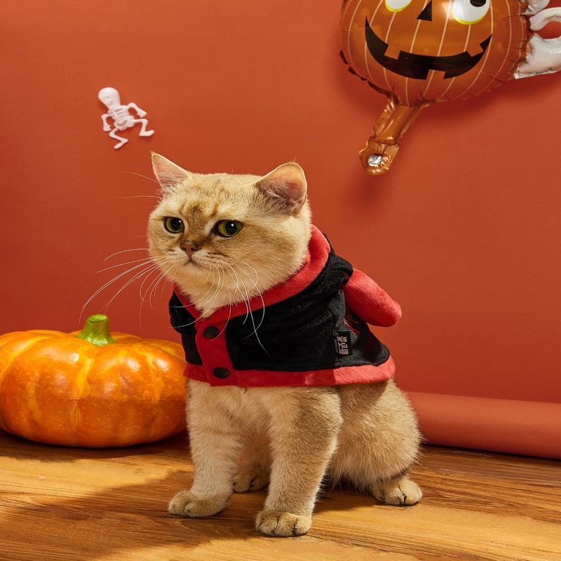 Kleine hond kat Halloween persoonlijkheid grappig kostuum mantel huisdier demon transformatie outfit_voghion.com