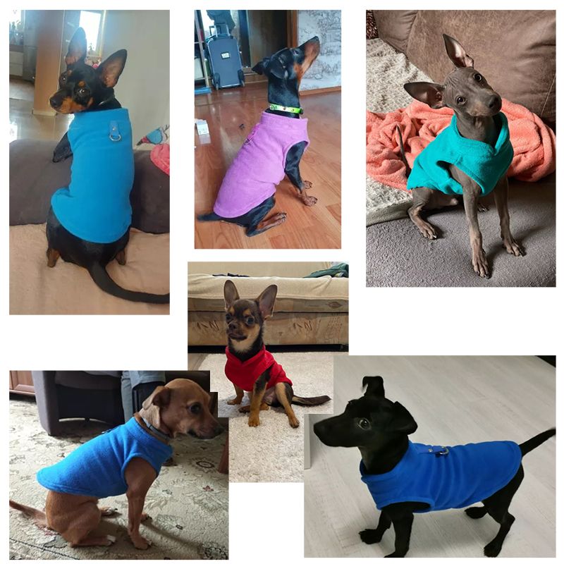 Colete de lã para cães CDDMPET da PawParty Store_voghion.com