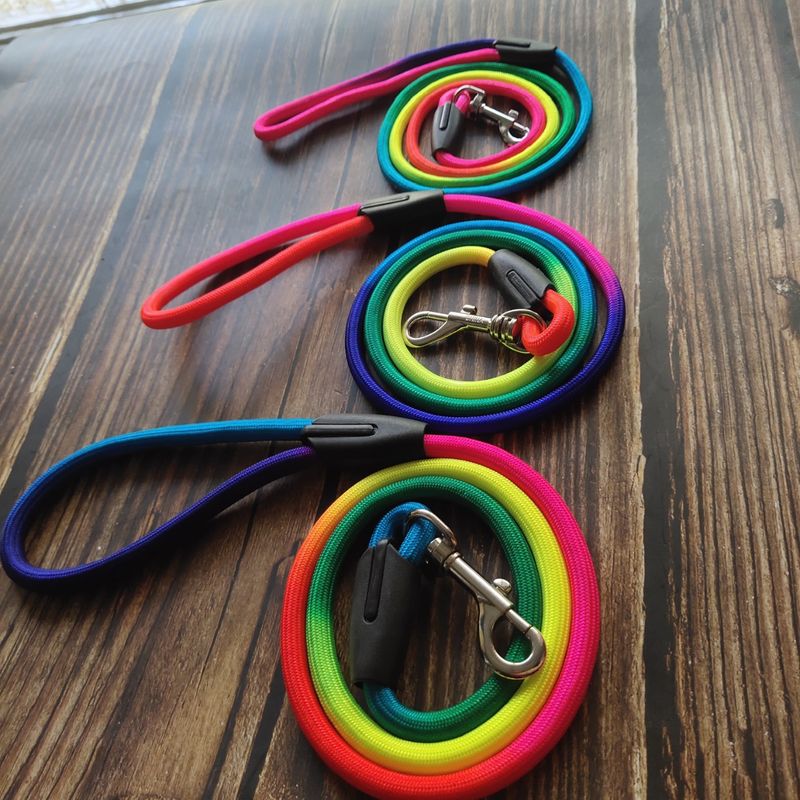 Leine für Tierbedarf, buntes Seil, Hundeleine aus Kette_voghion.com