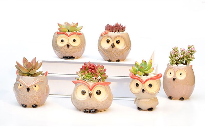 Owl Ceramic Planter 8cm - Mini Cactus Flower Pot Handmade Succulent Container With Drain Hole Gift_voghion.com