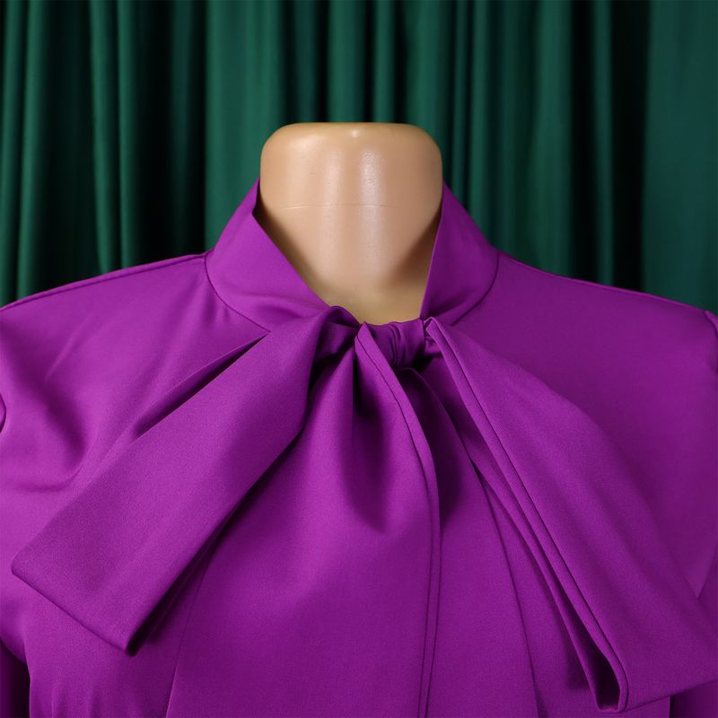 Großes Damenkleid im Herbst 2024, Neuheit mit Schnürung, Plissee, langen Ärmeln, Farbblock, elegantes Kleid mit Temperament_voghion.com