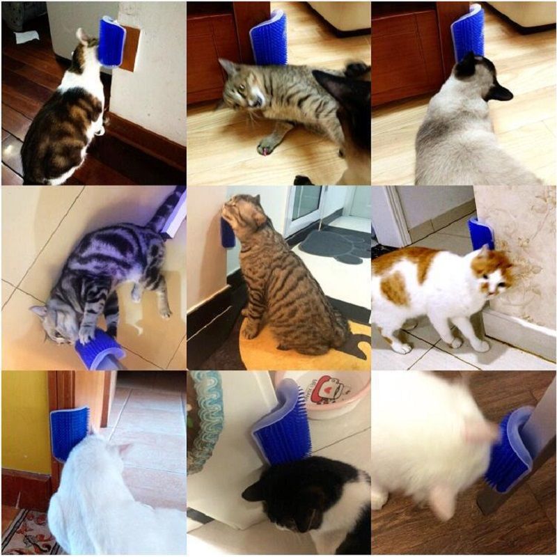 Post, massaggiatore per gatti, spazzola tiragraffi per animali domestici, pettine per la rimozione dei peli, tavolo per la toelettatura dei cani, cura dei gattini, accessori Royal Canin di PawParty Store_voghion.com