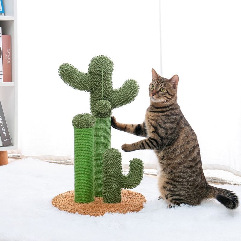 Pet Supplies Cute Cactus Tree Pet Cat Toy With Ball Scratching Post_voghion.com