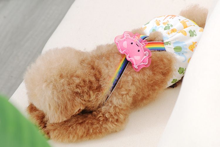 Teddy Bixiong Hygienehose Trägerhose Sicherheitshose Hündin Menstruationshose Anti-Belästigung Hose Haustierhose_voghion.com