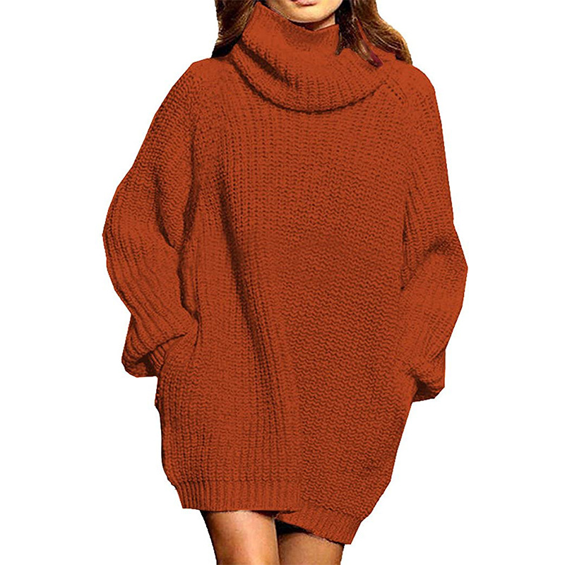 Women's autumn and winter fashion long sleeve turtle neck ladies long knit dress women's dress_voghion.com