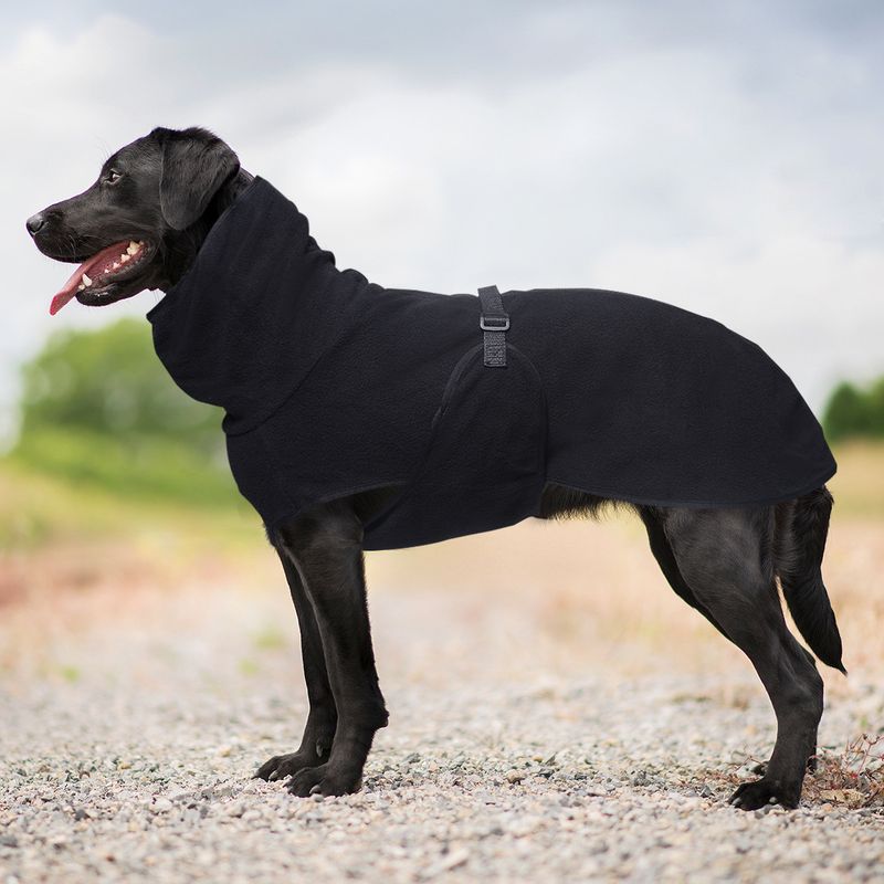 Pullover Pet Fleece Golden Retriever Thickened Warm Hooded Solid Color Dog Clothes_voghion.com