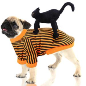 Hond Halloweenkostuum Kat Transformatie Outfit Persoonlijkheid Grappige Kleding Huisdier Top_voghion.com