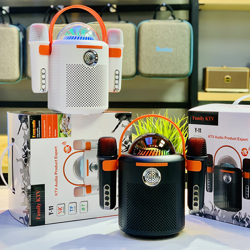 Tragbarer Bluetooth-Lautsprecher, hohe Lautstärke, Dual-Mikrofon, bunte Außenbeleuchtung, Familien-Karaoke mit 2 Mikrofonen_voghion.com