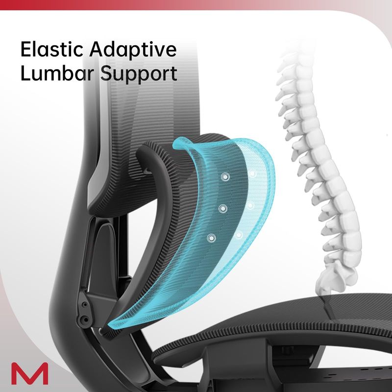 M2-MT Ergonomic Office Chair High Back Desk Chair With Large Elastic Adaptive Lumbar Support With Retractable Footrest 3D Headrest ARSS Armrest 135°Tilting Mesh Computer Chair BIFMA_voghion.com
