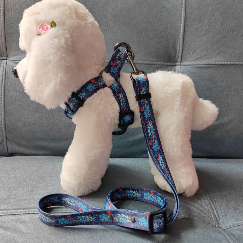 Harnais et laisse pour animaux de compagnie, motif graffiti de rue, tendance, personnalisé, chaîne pour chien, 2022_voghion.com