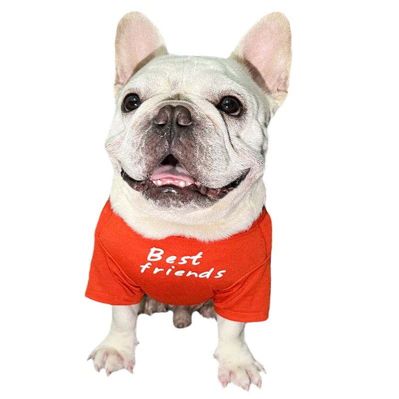 Maglietta girocollo per cani, carlino francese grasso, shar-pei inglese, bulldog inglese_voghion.com
