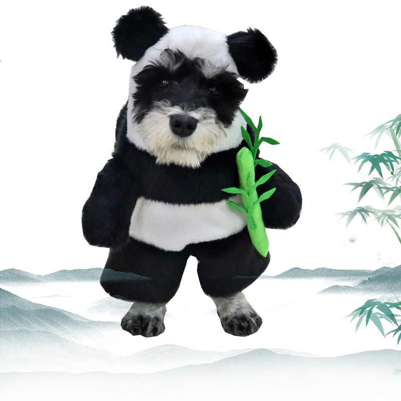 Halloween Pet Funny Cat Dog Transformation 3D Panda Holding Bamboo Upright Costume_voghion.com