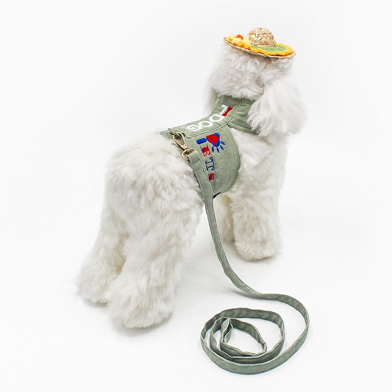 Guangying 1 Set Pet Leash Set Soft Comfortable Adjustable Alphabet Pet Puppy Dog Chest Strap Leash Set Pet Supplies_voghion.com