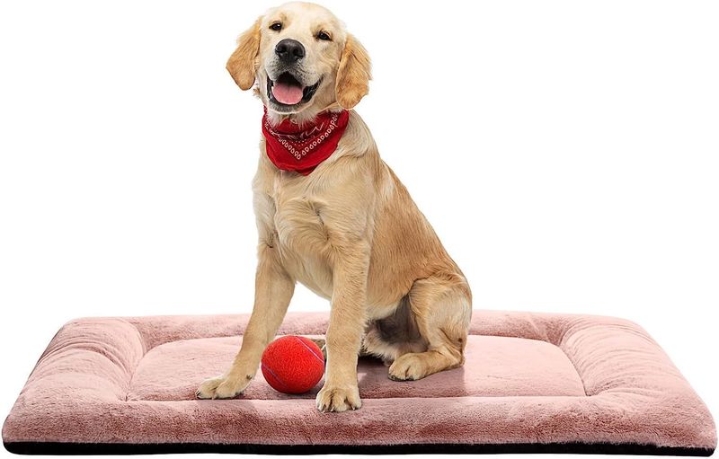 Cama para animais de estimação, cães pequenos, médios e grandes, gatos, tapete para gaiola de cachorro para Teddy e Golden Retriever, quente_voghion.com