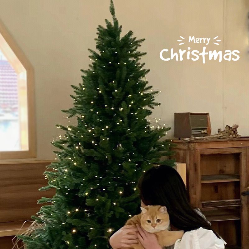 Weihnachtsbaum Haushalt große Simulation Ins Stil Weihnachtsdekorationen Pe Verschlüsselung neue DIY Ornament Paket_voghion.com