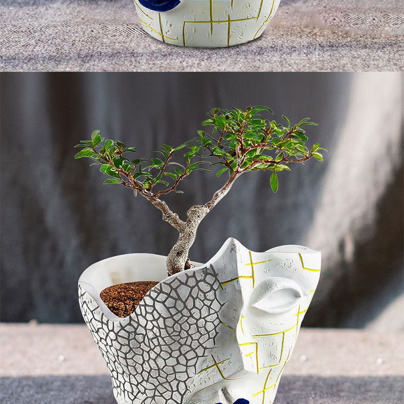 New Creative Face Crack Abstract Flower Pot Resin Craft Plant Container Home Garden Ornament_voghion.com