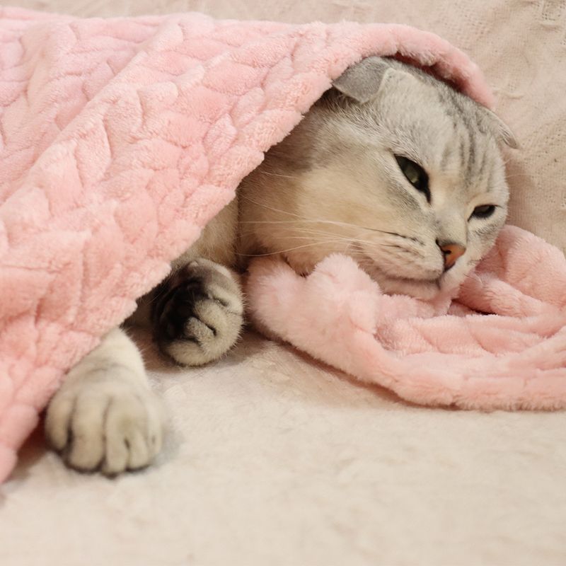 Weizenohr kleine Haustier Katze Nest Matte Hund Wärme Abdeckung Korallen Samt verdickte Decke_voghion.com