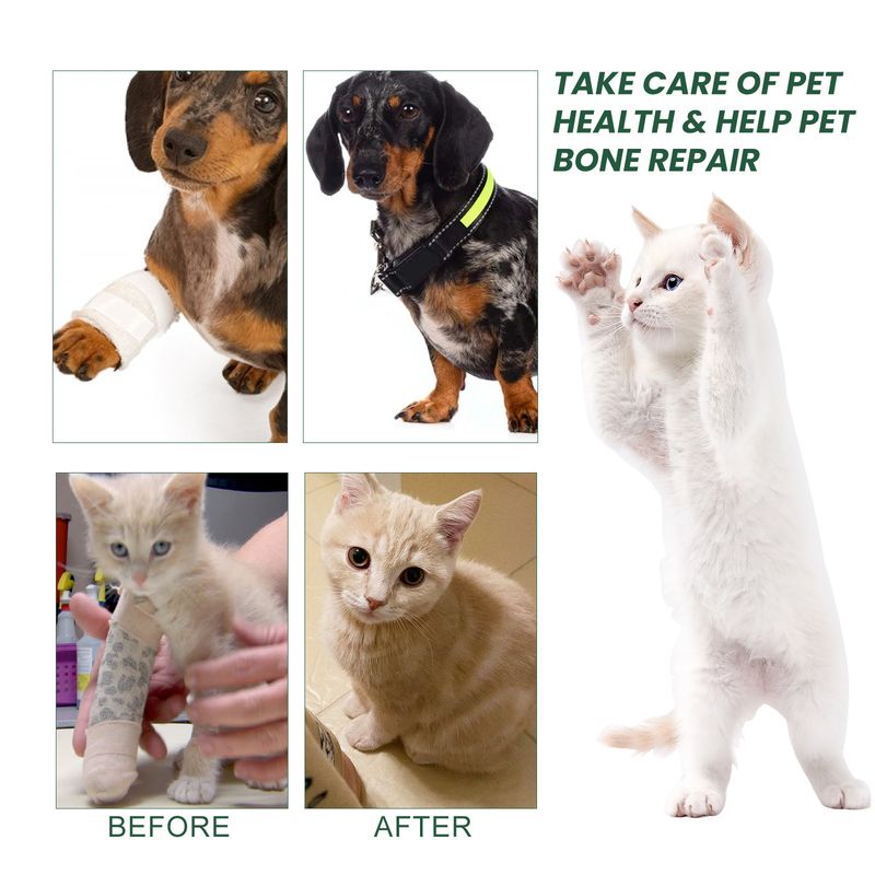 Gezamenlijke reparatiedruppels voor huisdieren, verlichting van gewrichtspijn voor honden en katten_voghion.com