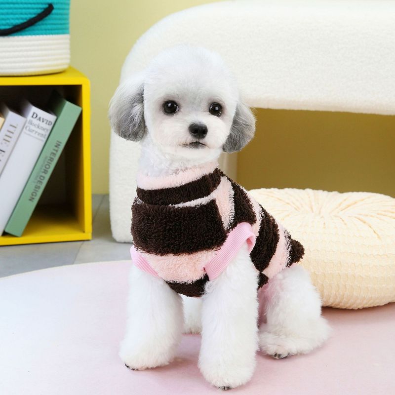 Kutyaruházat Ősz/Tél Új Plüss Macska Húzógyűrűkkel 23 Kis Fehér Medve Bársony Ruhák_voghion.com