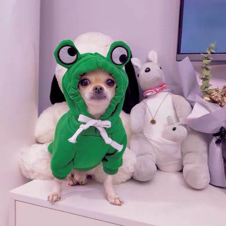 Trasformazione della frutta cane gatto cane di piccola e media taglia autunno e inverno gilet pile abbigliamento forniture pet Teddy metodo secchio produttori_voghion.com