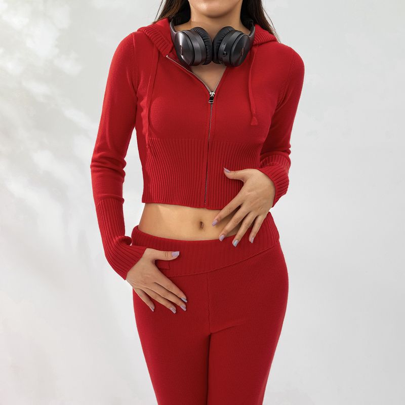 Traje de punto con capucha para mujer, conjunto de dos piezas con pantalones de manga larga y cintura alta, sexy y moderno, estilo europeo y americano, 2023_voghion.com