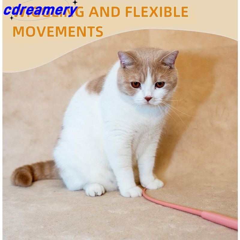 Jouet interactif pour chat, baguette en silicone, pour chat d'intérieur, pour chat adulte qui s'ennuie._voghion.com