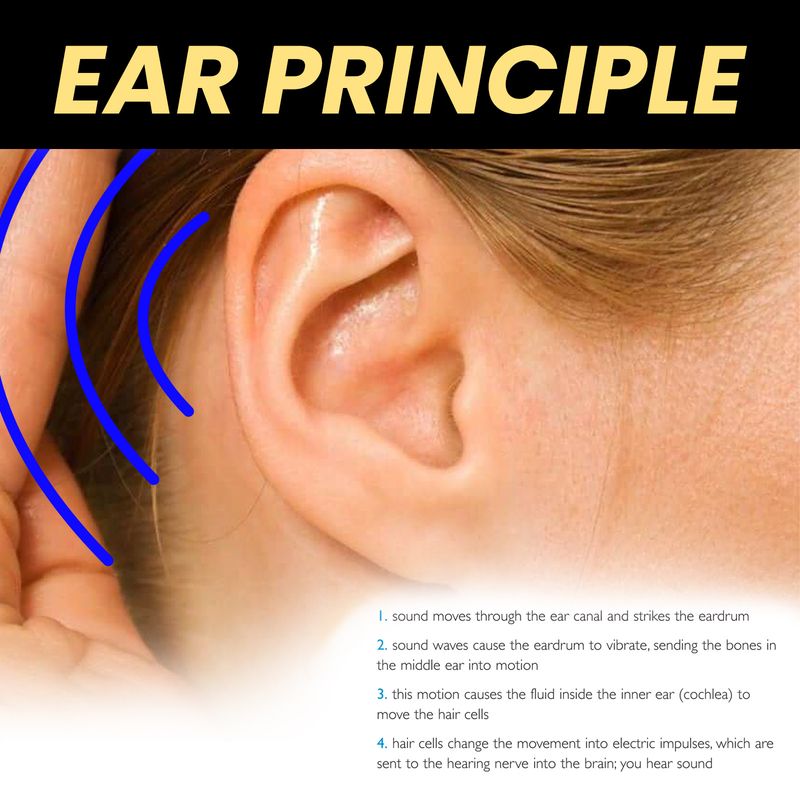 EELHOE Oil Clean Earwax Σταγόνες για την ανακούφιση από εμβοές, πλάτη και αυτιά_voghion.com