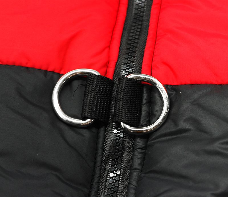 Beirui Winter Vest For Dogs, Blue/Pink/Red/Green, S-5XL By PawParty Store_voghion.com