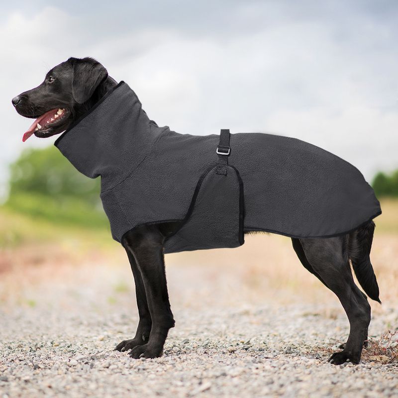 Pullover Pet Fleece Golden Retriever Thickened Warm Hooded Solid Color Dog Clothes_voghion.com