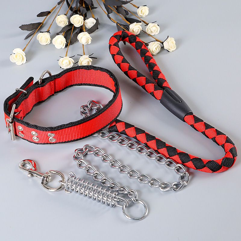 Laisse en nylon pour chiens de taille moyenne et grande, chaîne métallique anti-explosion à ressort, multicolore_voghion.com