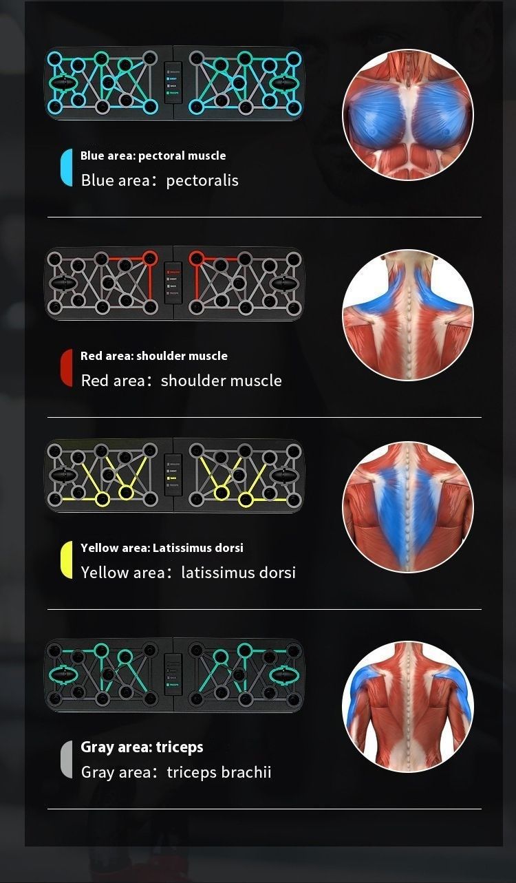 Faltbares Push-Up-Board, multifunktionales Stützgestell, Brustmuskeltrainer, Plank, Heimfitnessgerät für Erwachsene_voghion.com