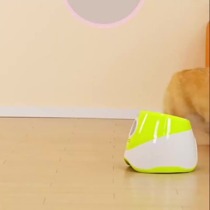 Lanzador automático de pelotas de tenis para perros de PawParty Store_voghion.com