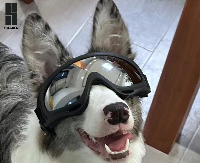 per Bichon, Teddy, Bulldog francese, occhiali antivento per cani poliziotto di celebrità di Internet, Border Collie, occhiali da sole per Corgi,_voghion.com