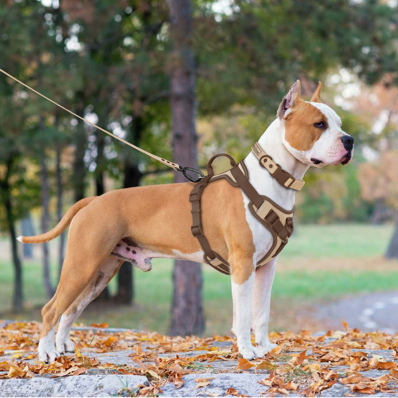 HENSHINE DOG GEAR Pettorina per cani color cioccolato_voghion.com