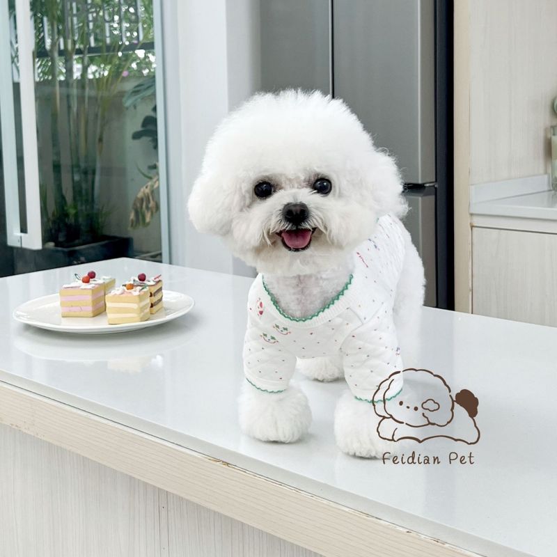 Nuovo gilet a maniche lunghe stampato imbottito in cotone autunno inverno per animali domestici Bichon Frise e Maltese, comodo strato di base per la casa_voghion.com