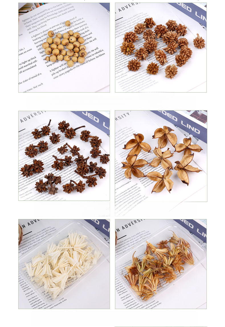 Natural Plant Materials Decorative Ornaments Wreath Handmade Hanging Decor Dried Fruit Combination Set DIY_voghion.com