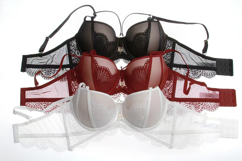 Nuovo reggiseno sexy in pizzo per donne con seno piccolo, set di biancheria intima regolabile e reggiseno._voghion.com
