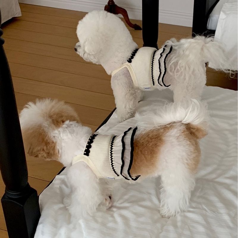 Sommer Neue Dünne Riemen Weste Mesh Bichon Teddy Pomeranian Overall Kleid Für Hunde Und Katzen Anti-Shedding Kleidung_voghion.com