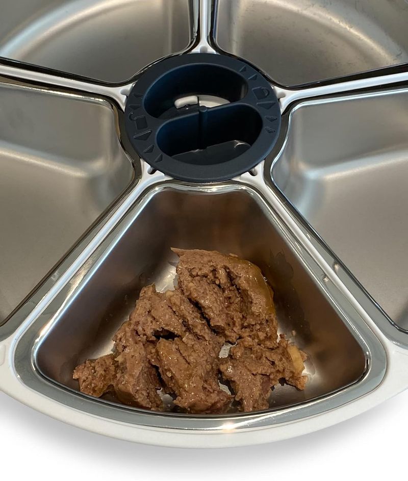 Closer Pets C500 5-Napf-Futterautomat Mit Digitalem Timer – 5-Mahlzeiten-Futterautomat Mit Edelstahlnapf Und Kühlakkus Nass- Oder Trockenfutter 5 Ma_voghion.com
