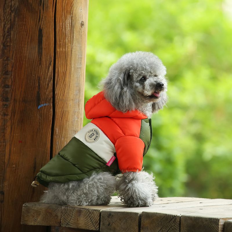 Cappotto invernale in cotone per cani, Teddy, Pomerania, caldo e antivento, a due zampe_voghion.com