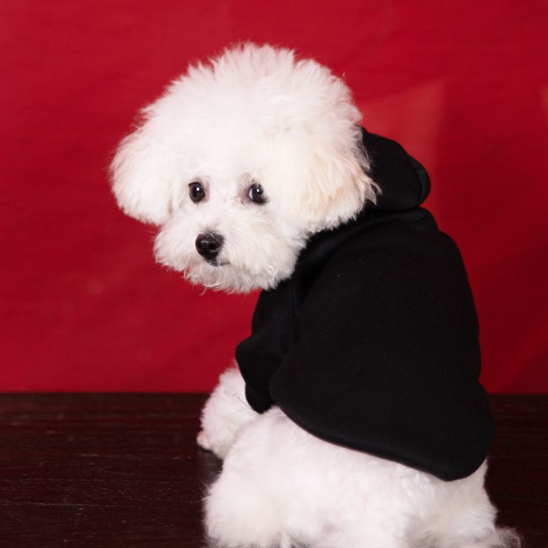 Vestiti per cani di colore solido per autunno e inverno, foderati in pile, caldi vestiti per animali domestici, felpa con cappuccio in pile per cani di grandi dimensioni, sei colori_voghion.com