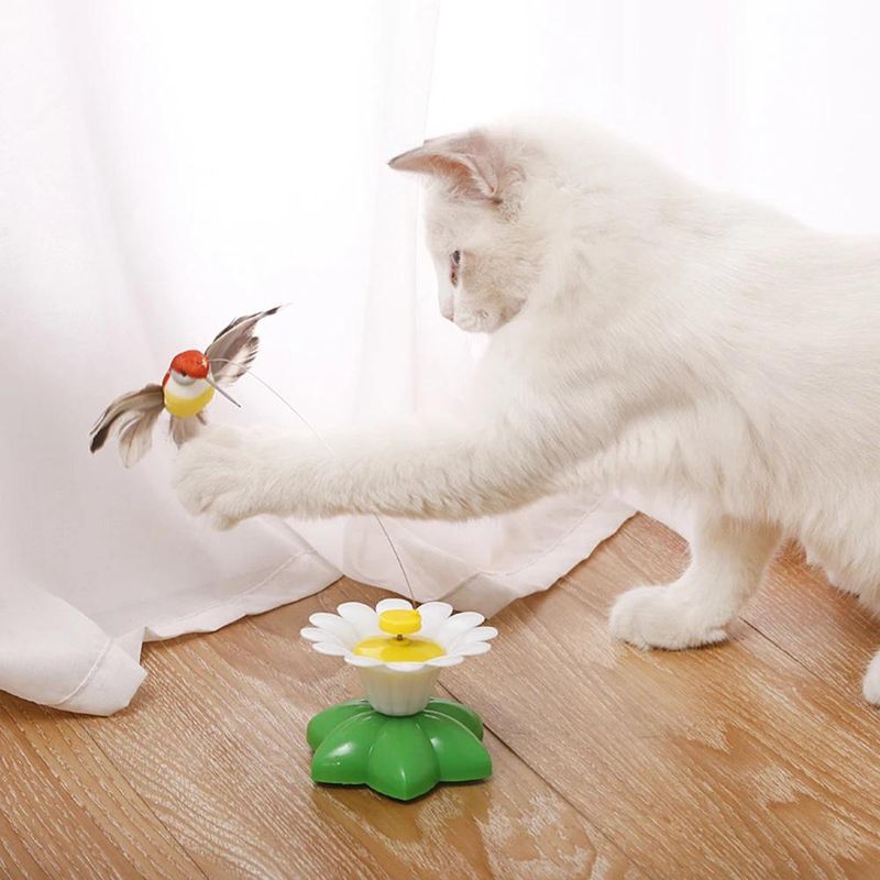 New Rotating Electric Butterfly, Hummingbird And Bee Pet New Product Rotating Around Flowers To Cats And Butterflies Pet Toys_voghion.com