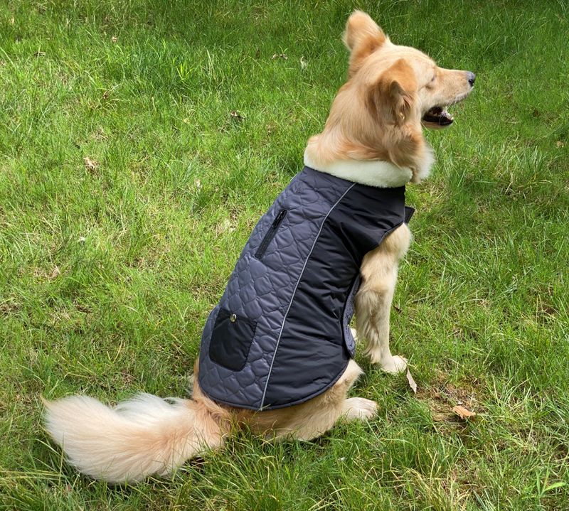 Pocket new pet clothes autumn and winter dog clothes vest cotton coat double sided wearable dog clothes coat clothing_voghion.com