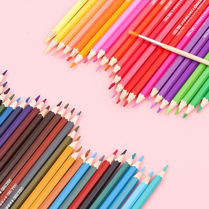 Estojo dobrável para lápis de cor com 50 cores – Suporte de madeira premium para artistas e estudantes – Organizador portátil para lápis de cor (50 cores incluídas)_voghion.com