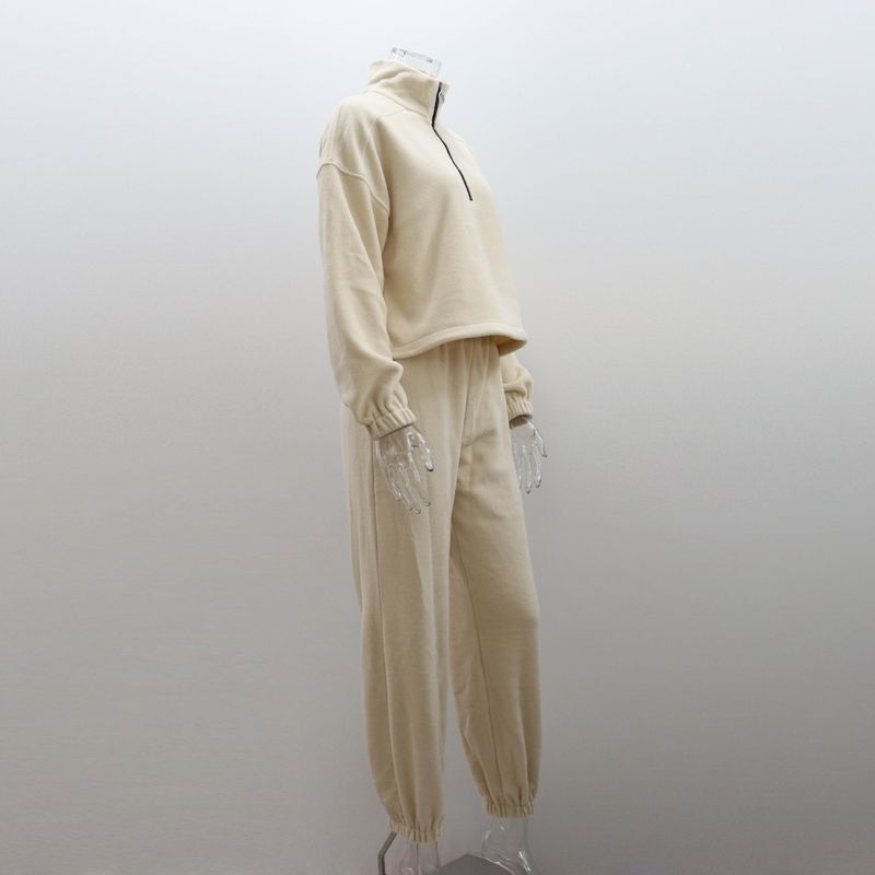Abbigliamento da donna Felpa in pile polare Tuta Autunno e inverno Polo colletto Top Pantaloni casual Tuta due pezzi_voghion.com