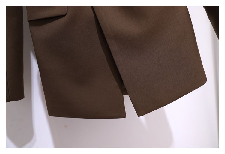 Giacca a Vento da Donna Primavera e Autunno Nuovo Top in Stile Coreano Chic Giacca da Abito Color Caffè per Donna Abito da Donna di Fascia Alta Primavera e Autunno_voghion.com