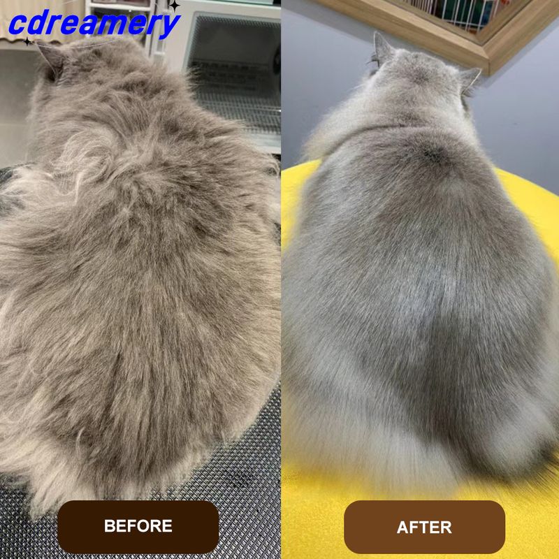 Brosse à vapeur 3 en 1 pour chat, peigne pour éliminer les poils d'animaux et les nœuds_voghion.com