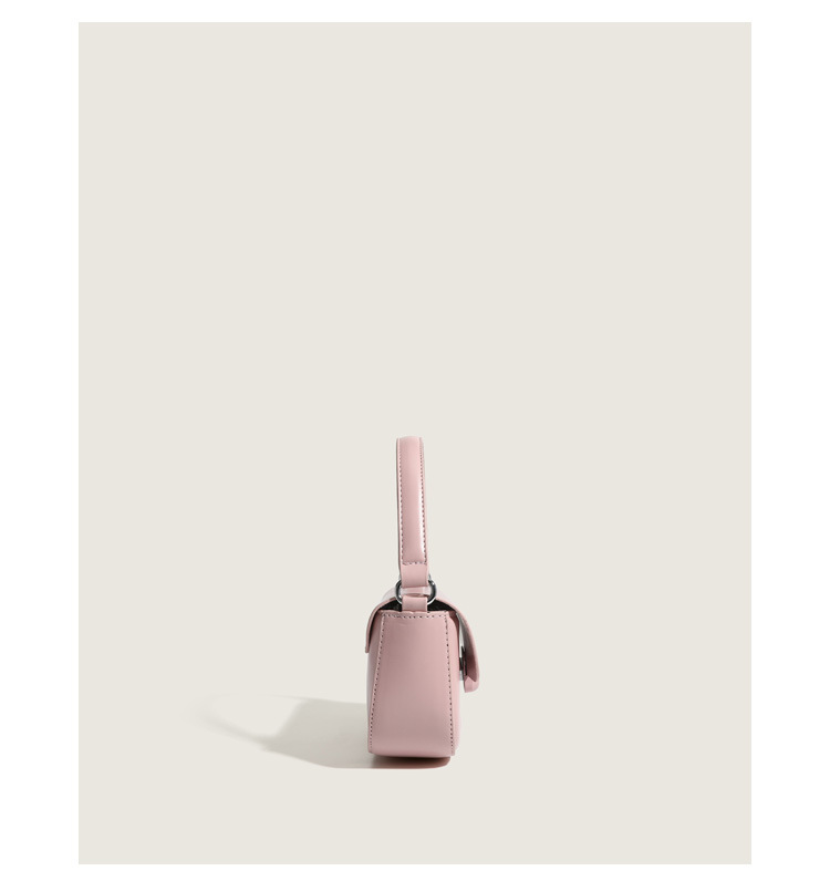 Niche design bag 2024 early spring new handbag women's bag fashion one shoulder pig bag texture all match crossbody bag_voghion.com